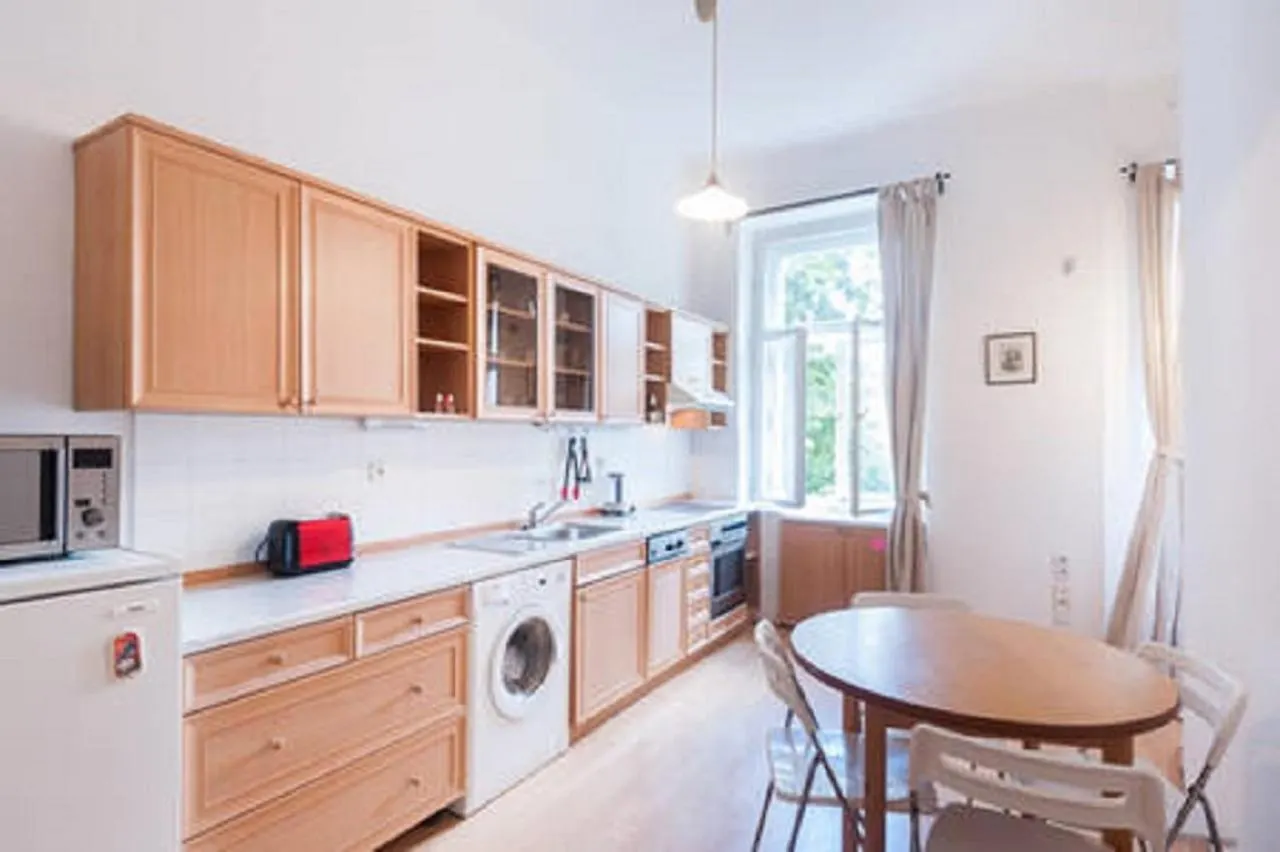 Historic Centre-Spacious Apartment Praag
